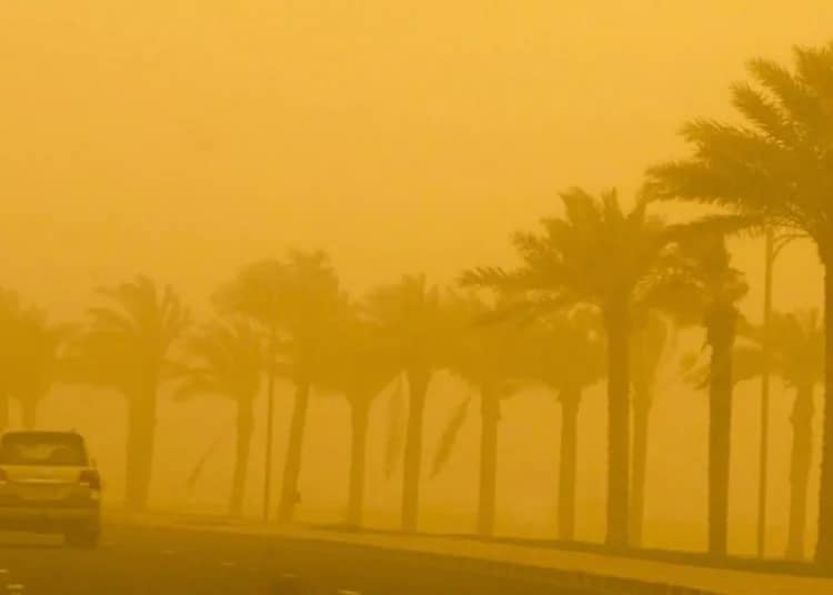 Orages en vue ce week-end en Algérie : le point météo