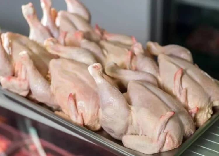 Cet éleveur algérien révolutionne la production de viande blanche en été grâce à une méthode innovante Pourquoi le prix du poulet chute en Algérie inquiète-t-il ?
