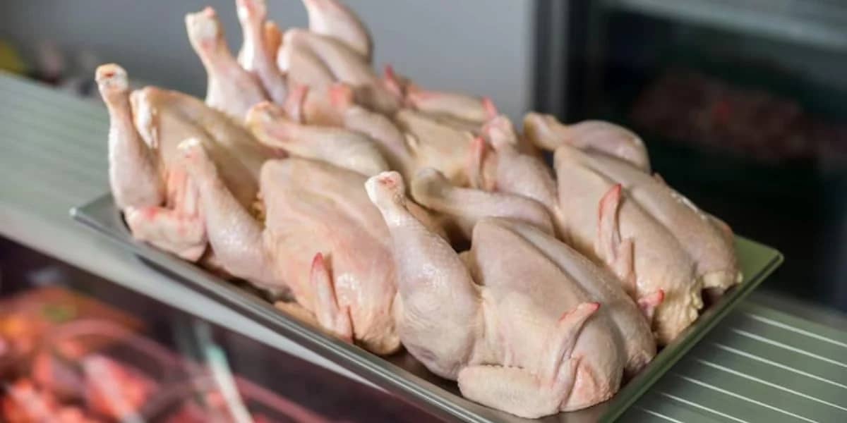 Pourquoi le prix du poulet chute en Algérie inquiète-t-il ?
