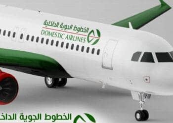 Premier vol Domestic Airlines : ce que vous devez absolument savoir