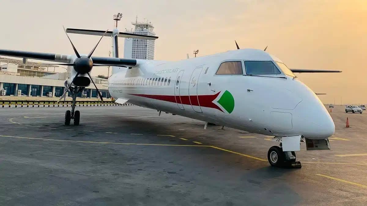 Domestic Airlines