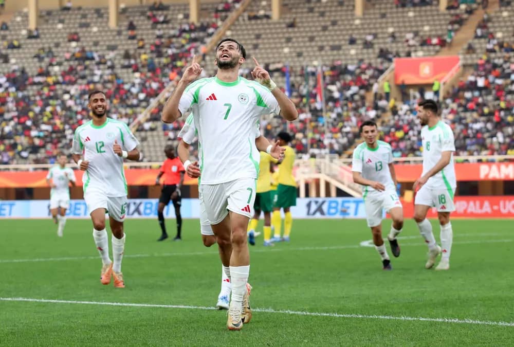 CHAN 2024 : la déclaration choc de Madjid Bougherra après la qualification aux quarts de finale CHAN 2024 : la déclaration choc de Madjid Bougherra après la qualification aux quarts de finale