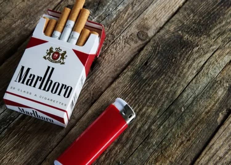 Saisie choc de 6800 paquets de cigarettes vers Marseille Saisie choc de 6800 paquets de cigarettes vers Marseille