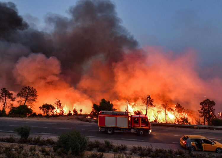 Algérie : ce que révèlent les images satellites des incendies Incendies en novembre en Algérie : un record inquiétant
