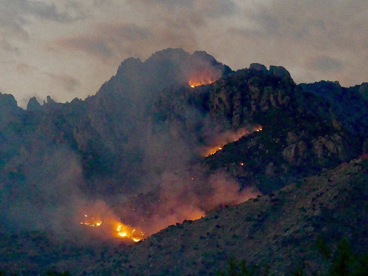 Incendie wilaya