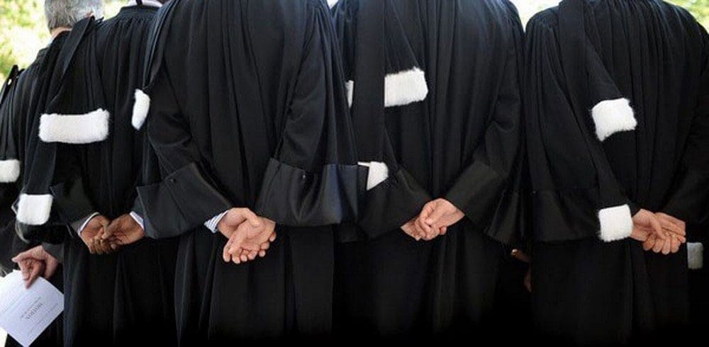 Avocat Copy 1