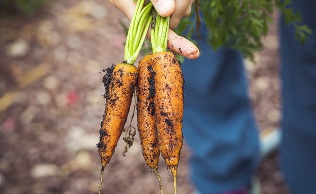Légumes