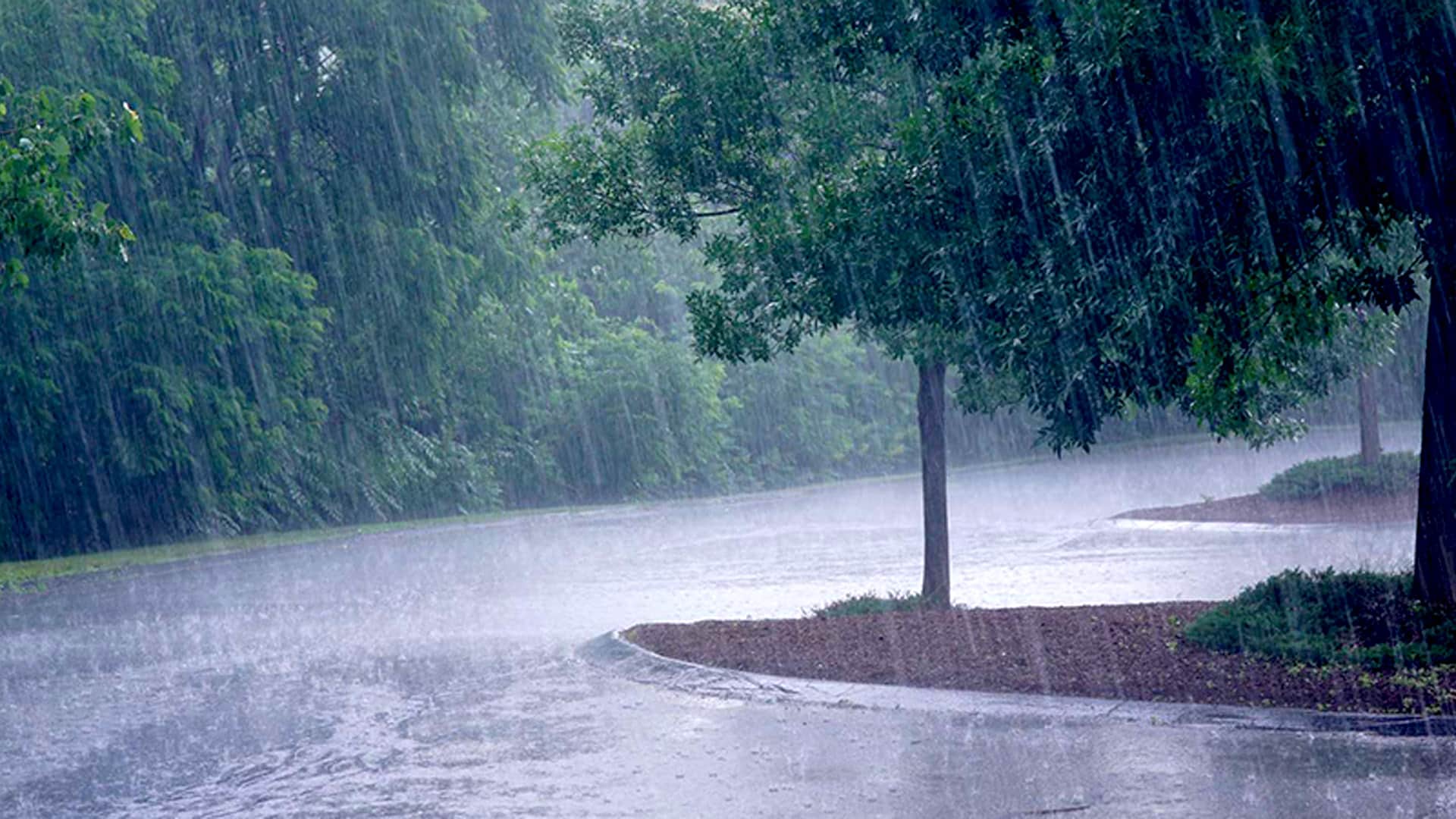 Météo: alerte pluies orageuses ce 8 septembre sur 8 wilayas de l'Algérie 