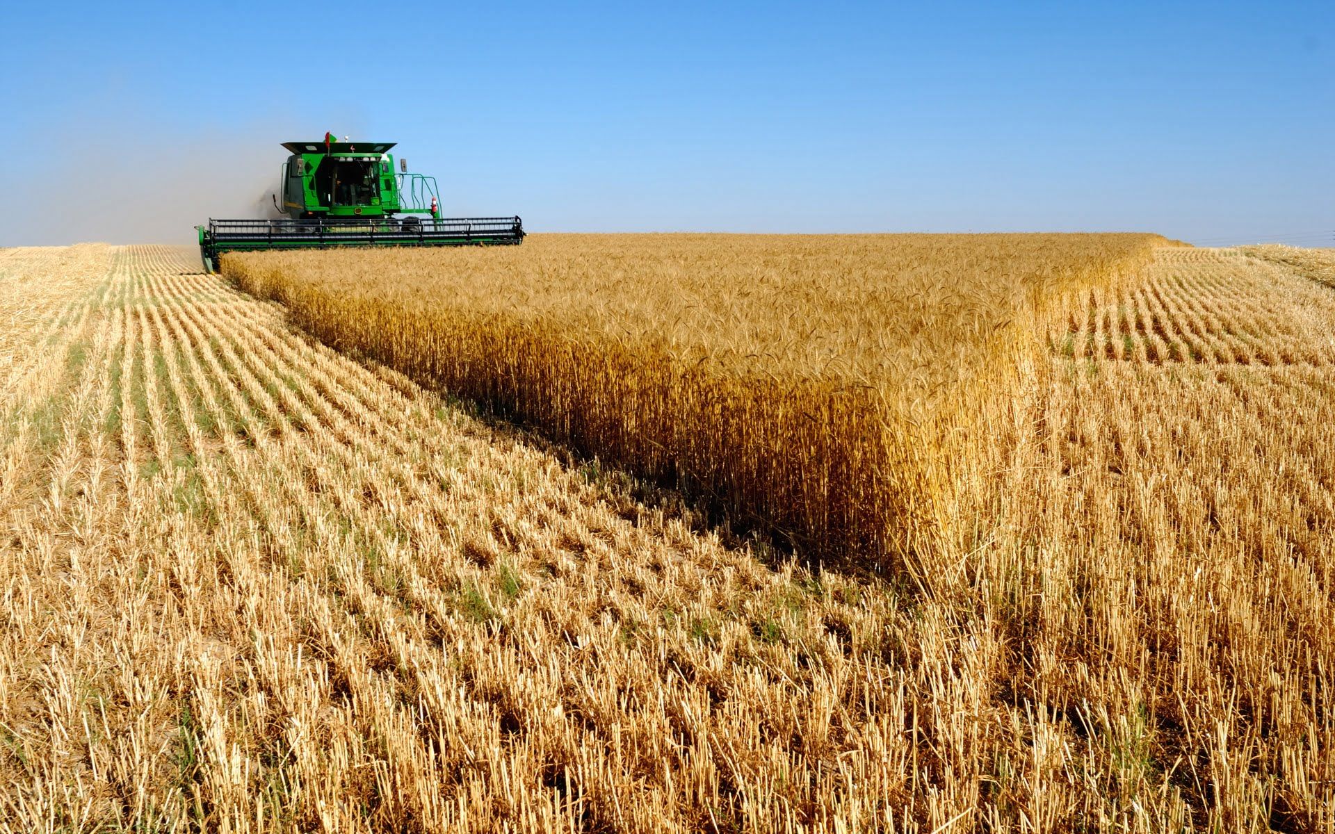 L’Algérie commande près de 500.000 tonnes de blé au Mexique