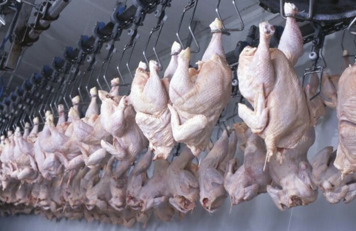 L'Algérie importe de la viande Blanche pour constituer un stock stratégique