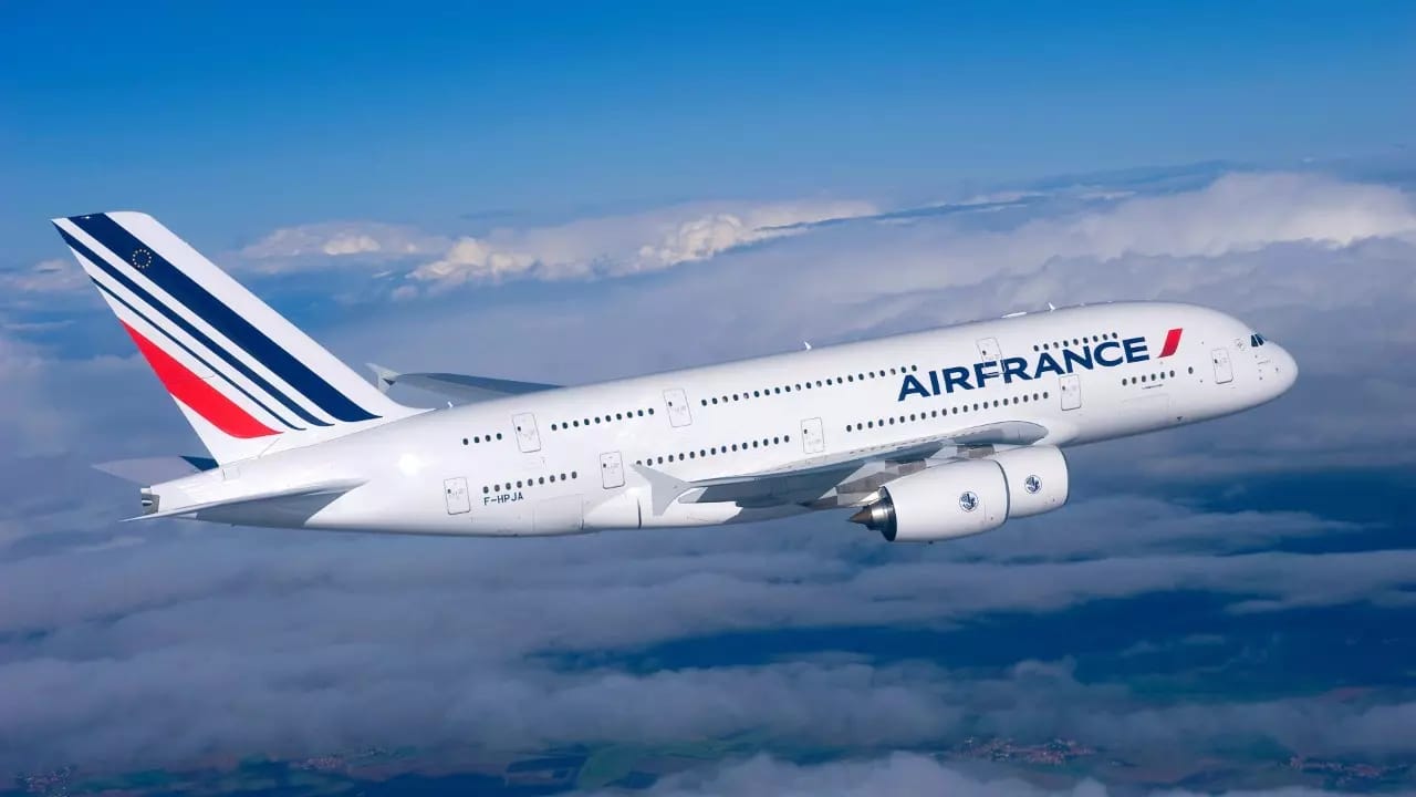 Deux harraga algériens sèment la pagaille dans un avion d'Air France à cause de ....
