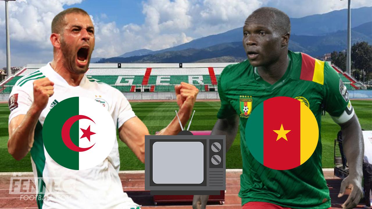 Algérie-Cameroun: La vérité éclate enfin