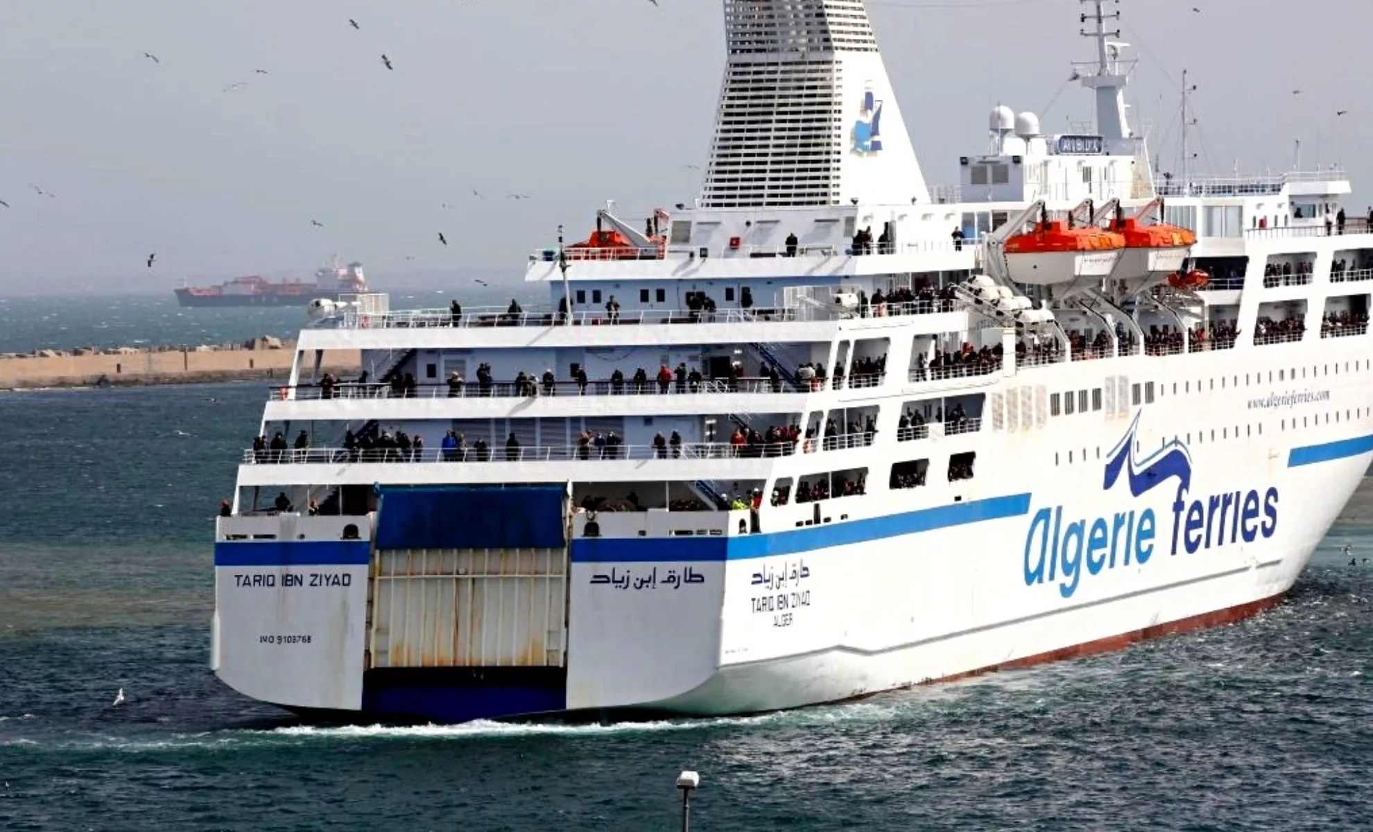 Algérie Ferries : une nouvelle ligne pour cet été
