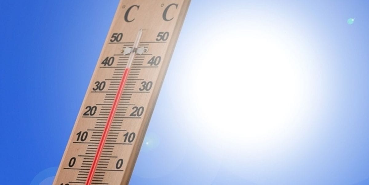 Prévisions Météo Algérie : Retour du soleil et hausse du mercure pour ce Jeudi 28 Mars