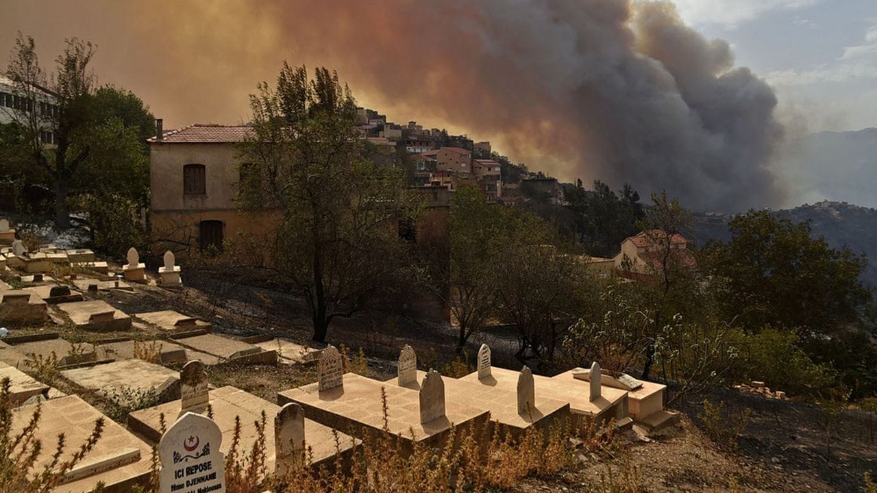 Smoke billows from a wildfire in the forested hills of the Kabylie region, east of the capital Algiers, on August 10, 2021. - Wildfires fanned by blistering temperatures and tinder-dry conditions have killed at least seven people in Algeria, the interior minister said, adding the fires had criminal origins. (Photo by Ryad KRAMDI / AFP)