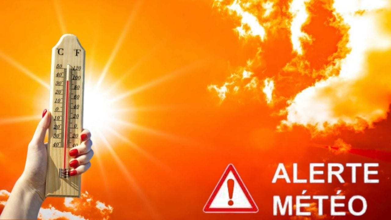 La canicule sévit au nord de l’Algérie