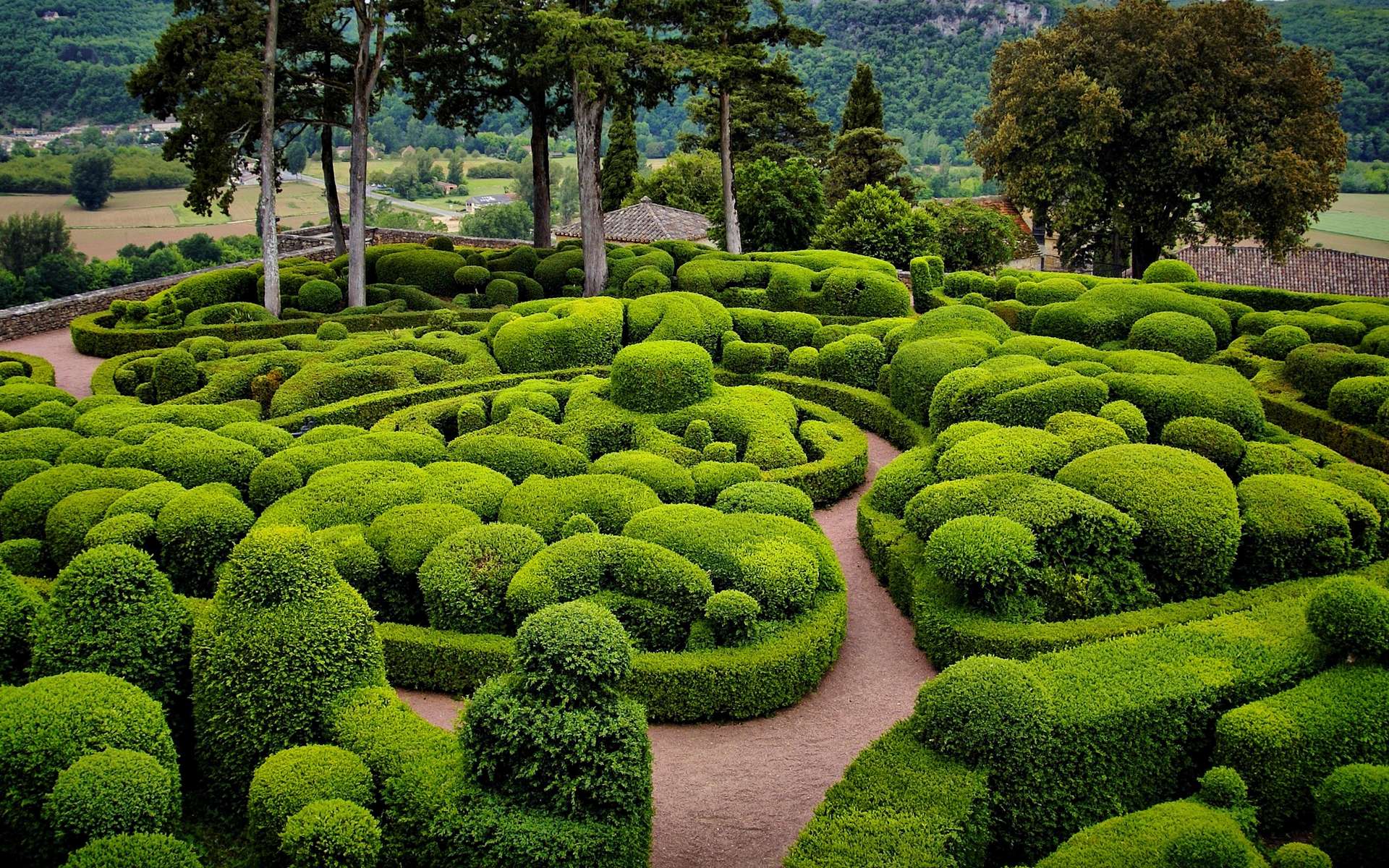 jardin