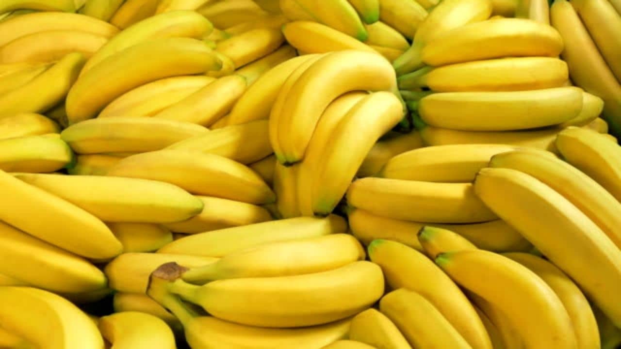 algerie vers baisse prix banane raison