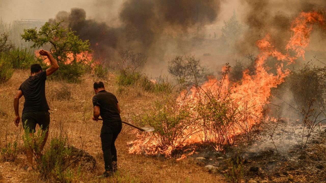 Incendies à El Tarf : trois pyromanes arrêtés