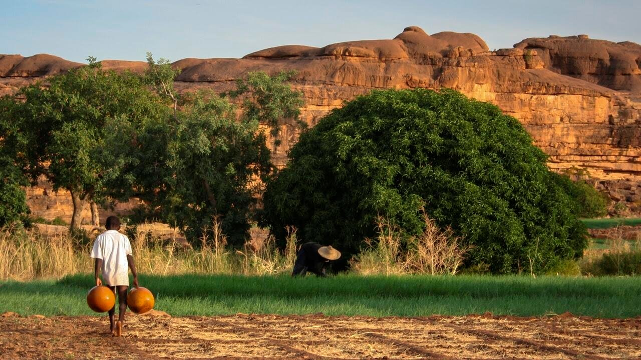 Dogon country