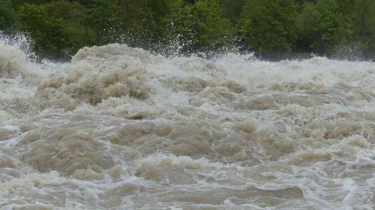 Algérie: Après des feux de forêts, les inondations également occasionnent de nombreuses pertes humaines et matérielles dans plusieurs Wilayas