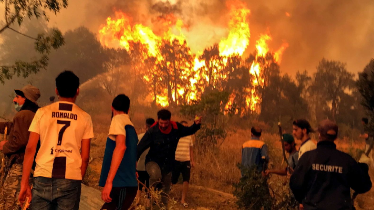 Incendie forestier