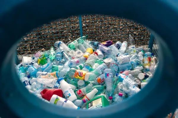 Recyclage-bouteilles-plastique-Mulhouse_0