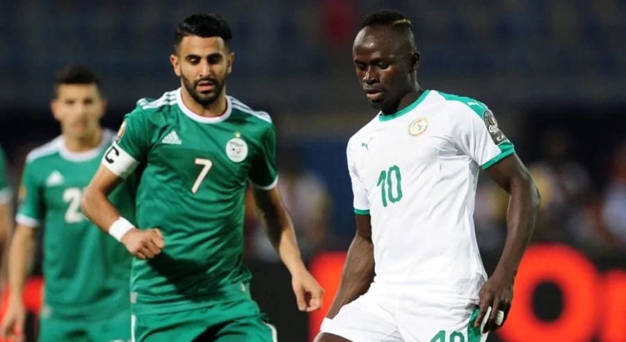 Puma, l'Algérie sur les pas du Maroc et du Sénégal