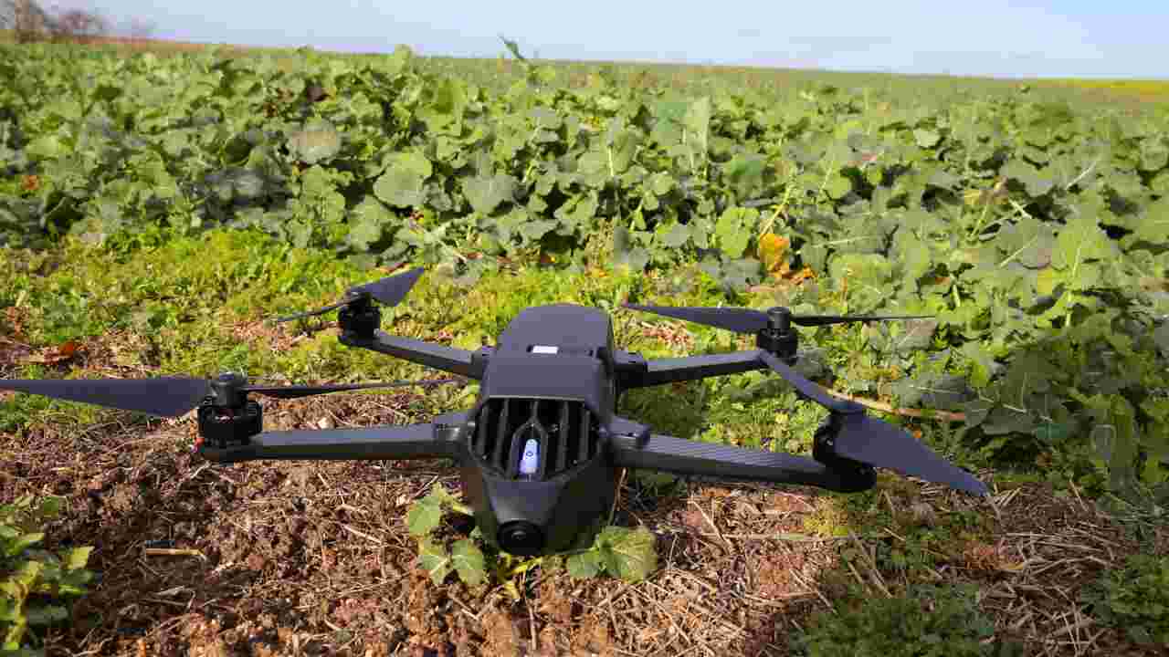Céréaliculture en Algérie : satellites et drones utilisés pour...