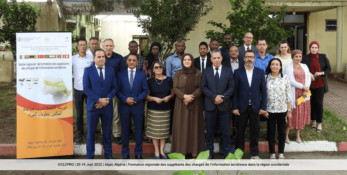 Lutte antiacridienne : l'Algérie accède à la présidence de la CLCPRO
