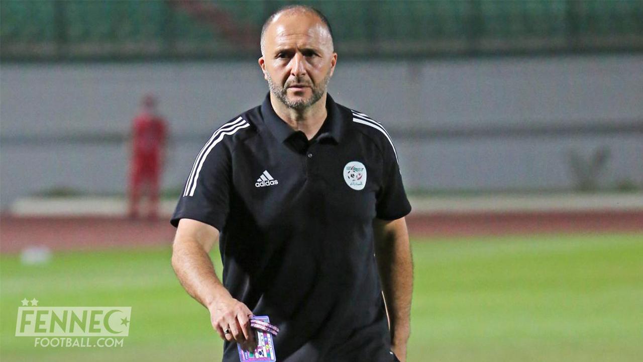 Équipe d'Algérie :  Des soupçons autour d’un remplacement de Djamel Belmadi.
