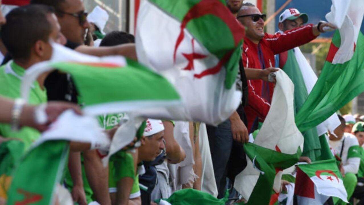 Coupe du monde : Un supporter camerounais demande aux Algériens de soutenir le Cameroun