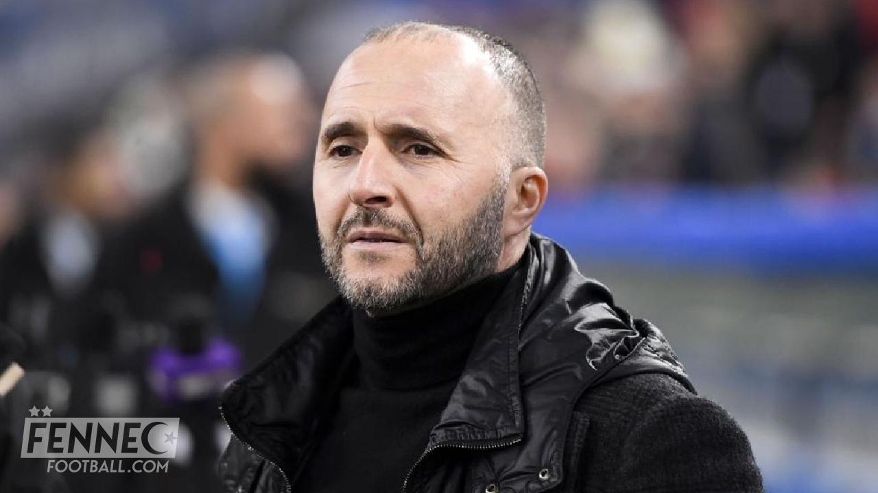 Djamel Belmadi viré !!: découvrez la réaction fracassante d’une légende de l’équipe d’Algérie  
