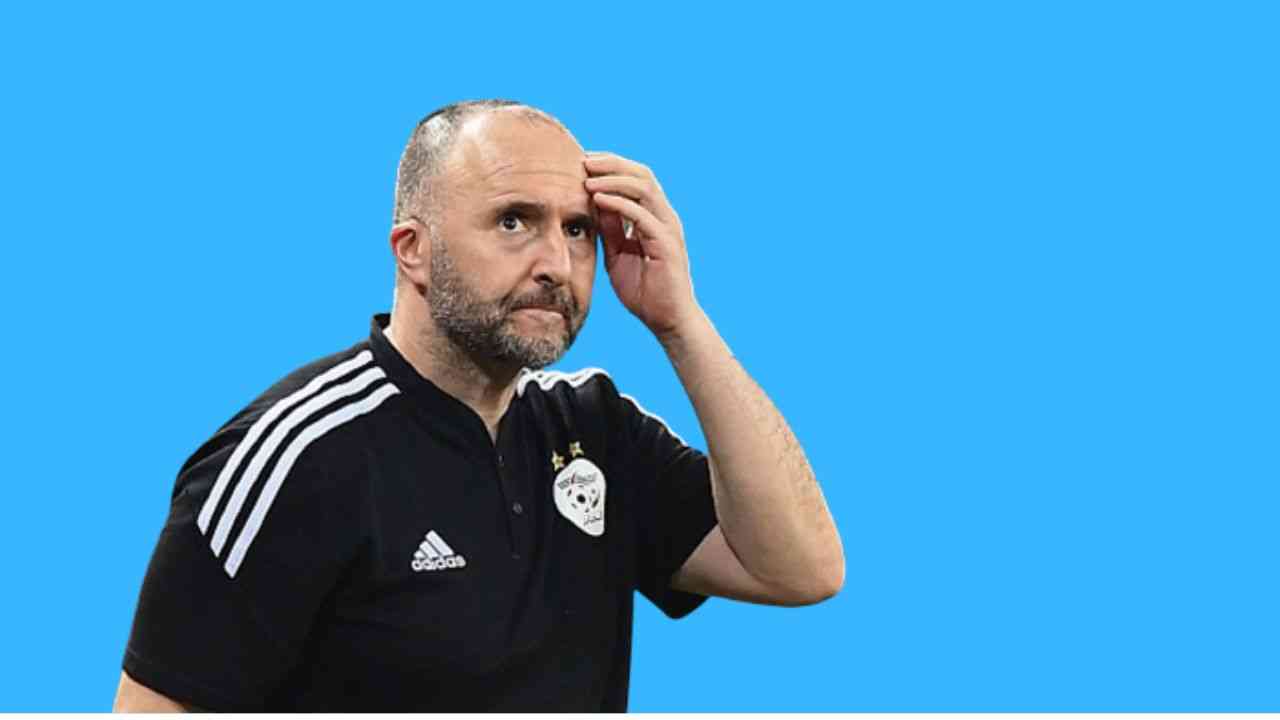 Belmadi