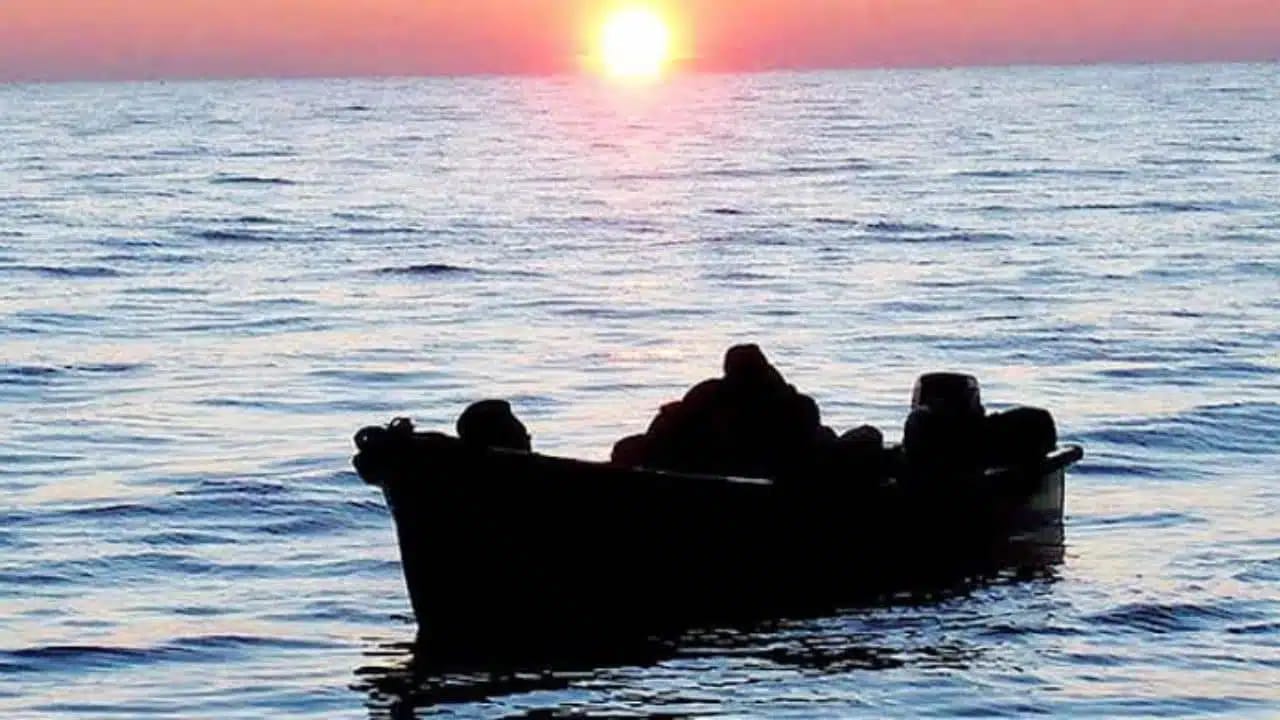 Tunisie : plus de 100 migrants « expulsés vers l'Algérie »