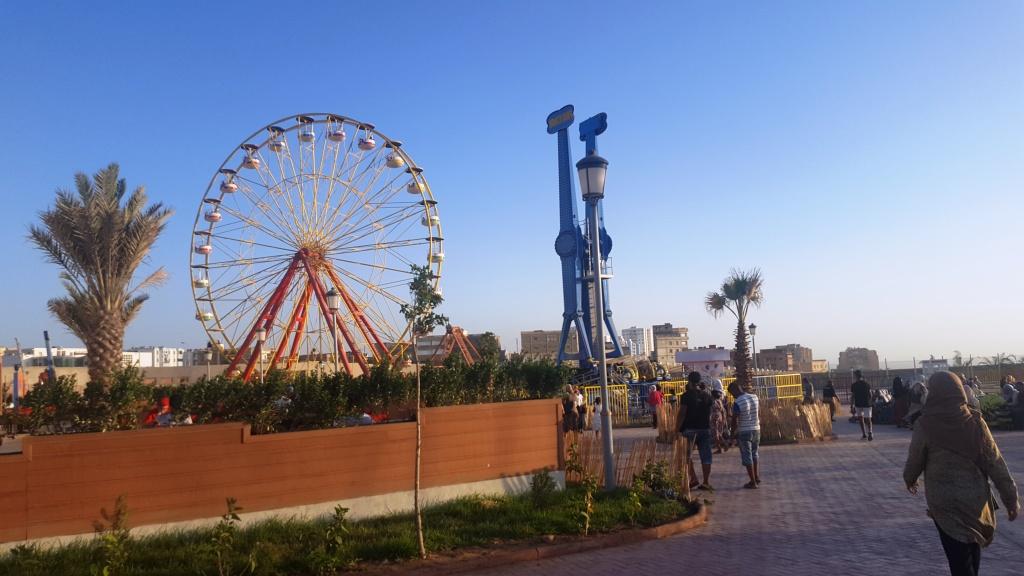 Algérie: sept lionceaux d’une race d’Afrique voient le jour au parc « Mostaland »