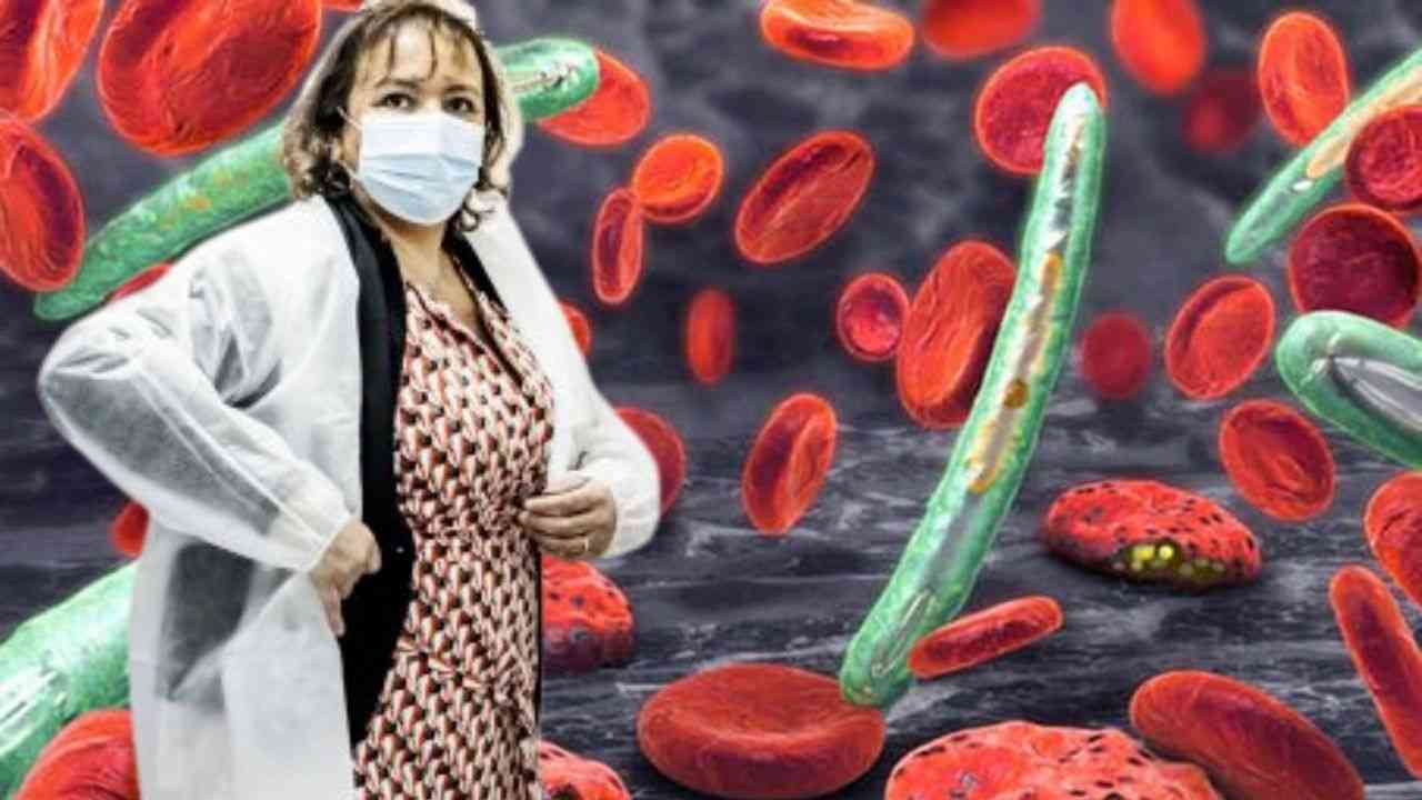 Jamila Louahed à la tête d’une recherche sur le  vaccin contre le paludisme. Voici l’inspirant parcours de la scientifique.