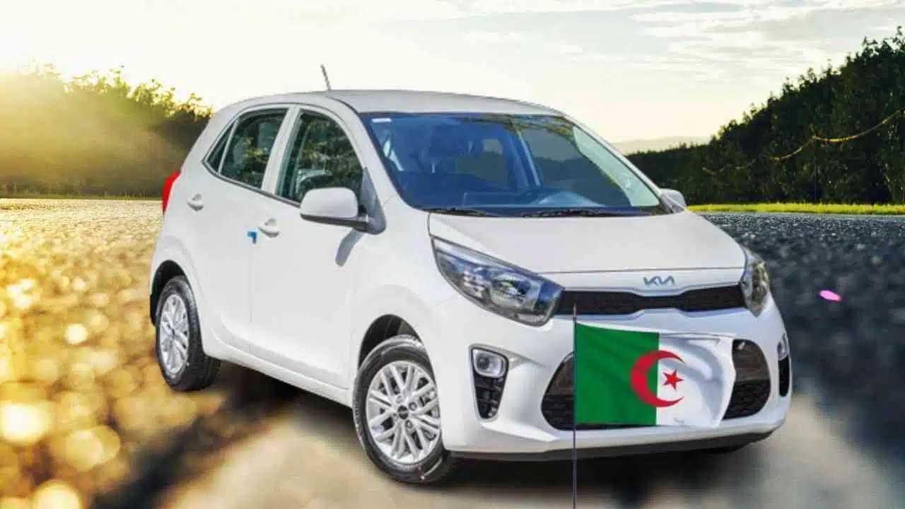 Voitures « Kia » de type « Picanto » en Algérie