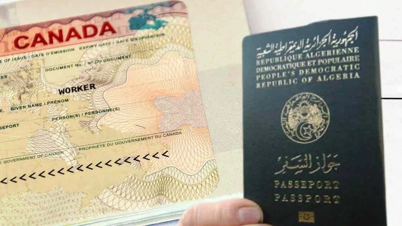 Permis de travail au Canada pour les Algériens : liste des emplois les plus demandés