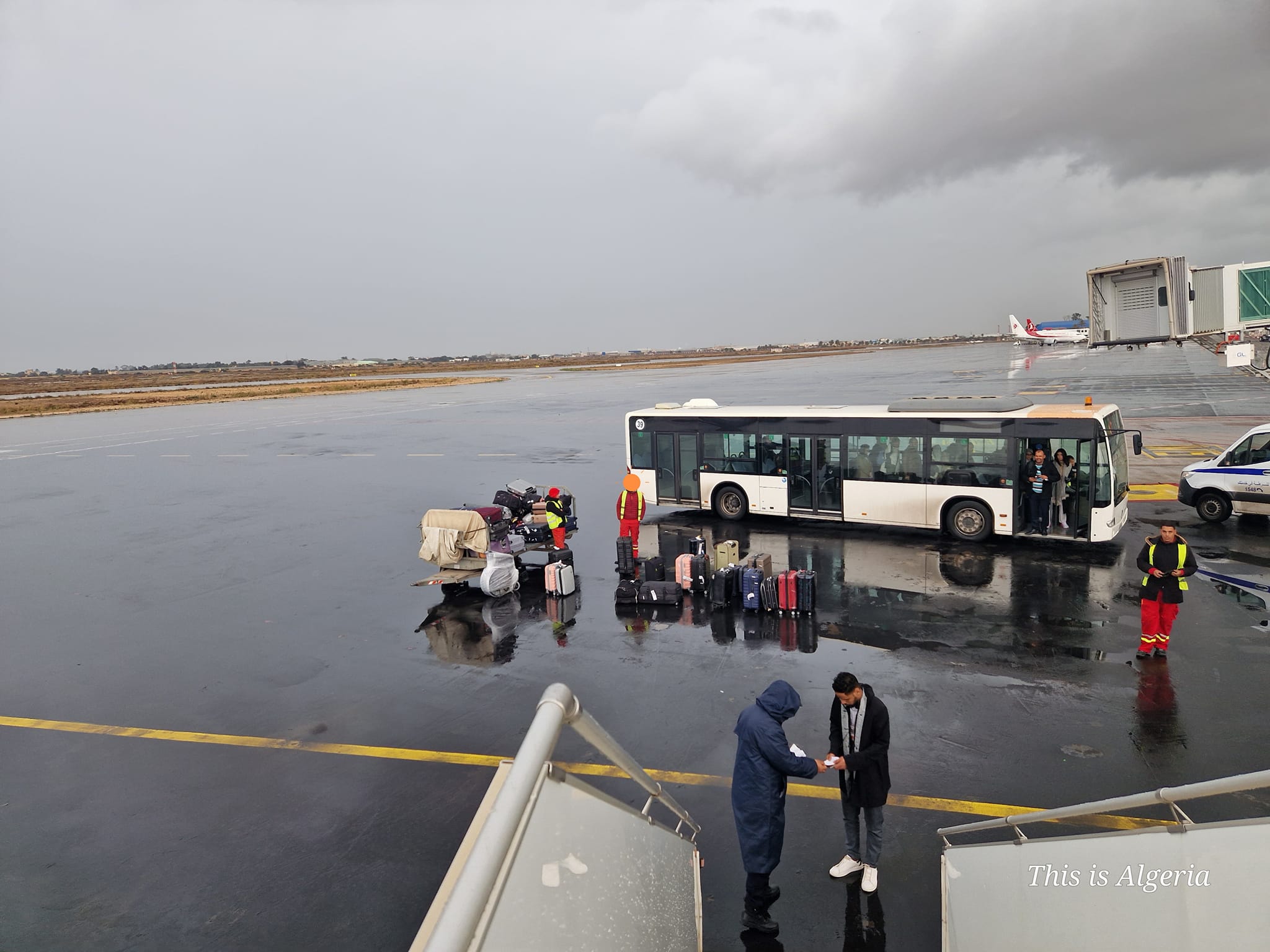 Des bagages abandonnés par Air Algérie dans une flaque d'eau enflamme la toile.