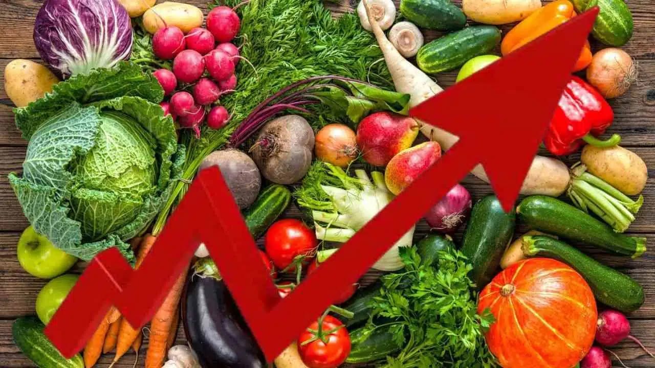 Algérie : Découvrez les révélations effrayantes de cet expert sur la hause du prix des fruits et légumes