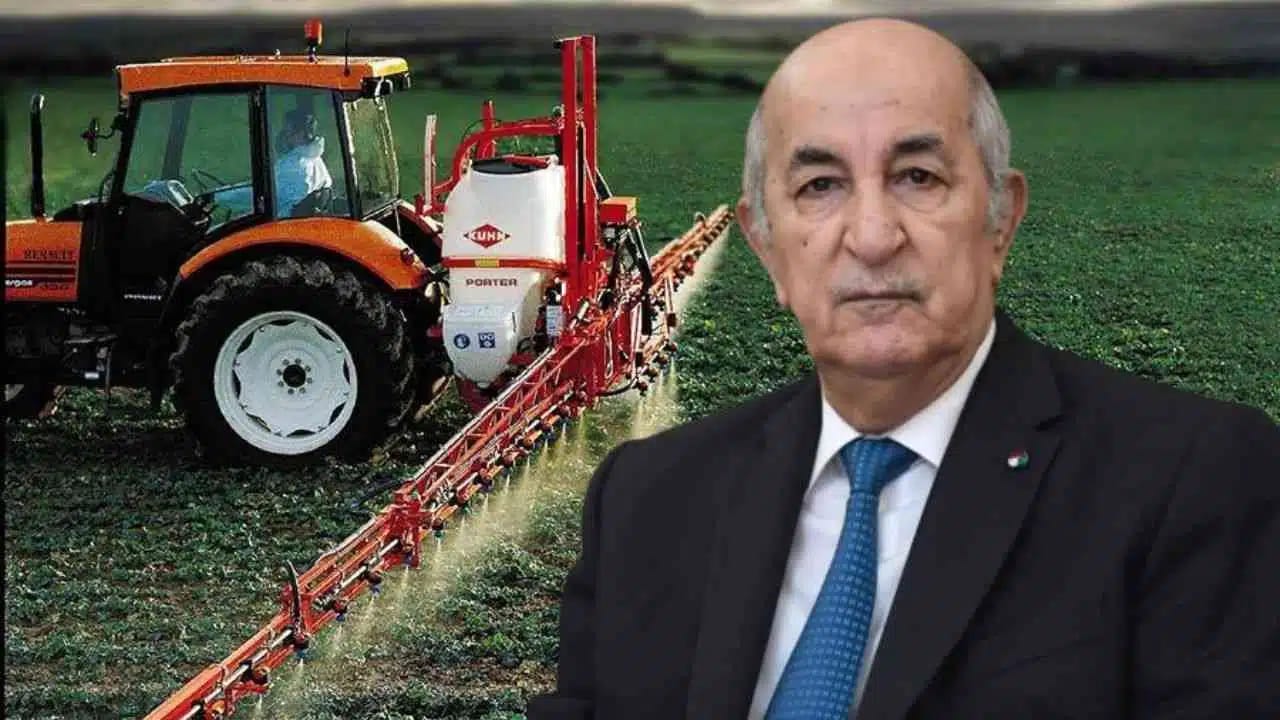Souveraineté alimentaire : Voici le bilan de  l’Algérie