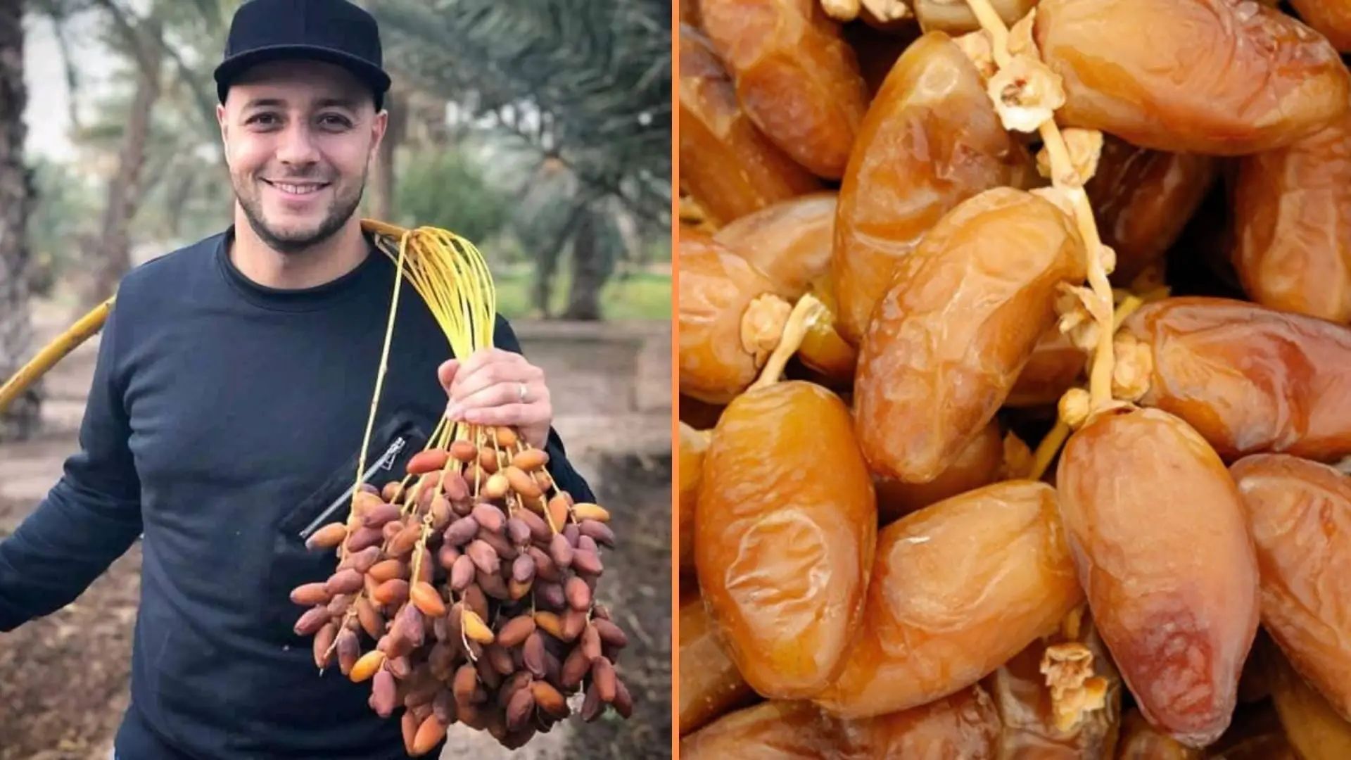 Classement de TasteAtlas : Les dattes algériennes Deglet Nour  figurent parmi les meilleures.