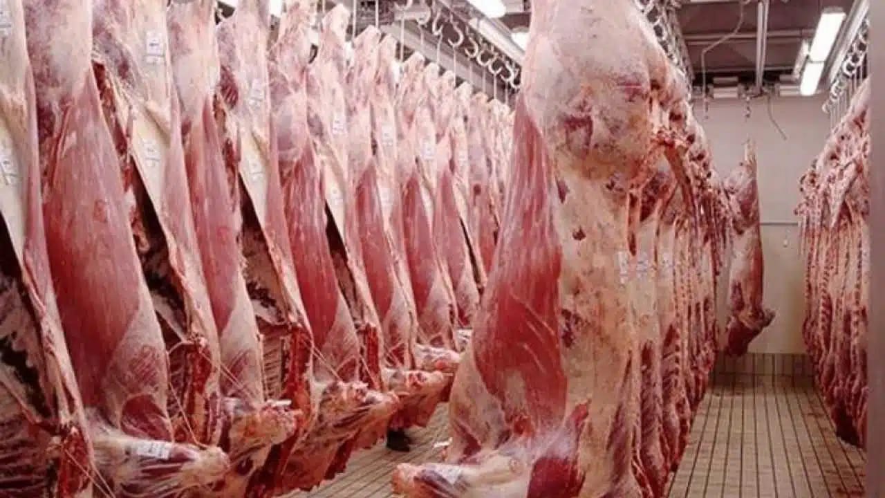 Ramadan 2025 : vers la stabilisation du prix de la viande