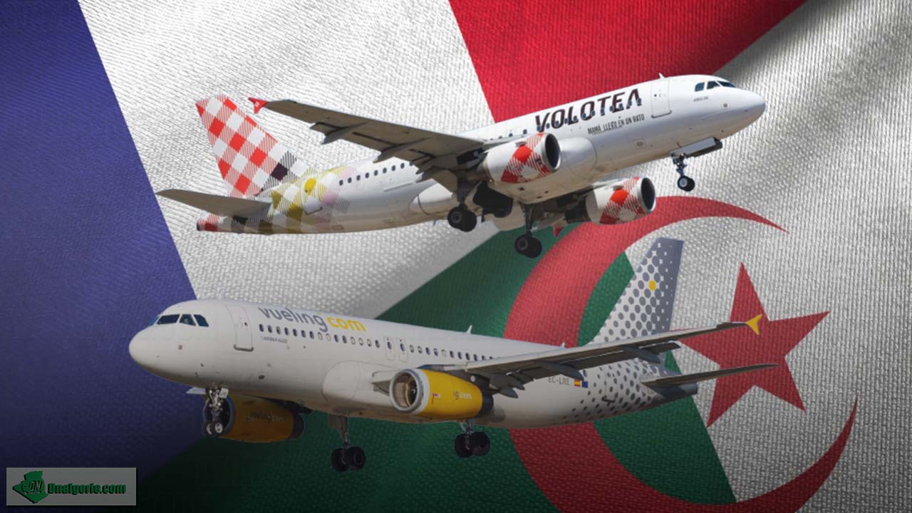 Algérie : un avion de Vueling envahi par plusieurs insectes