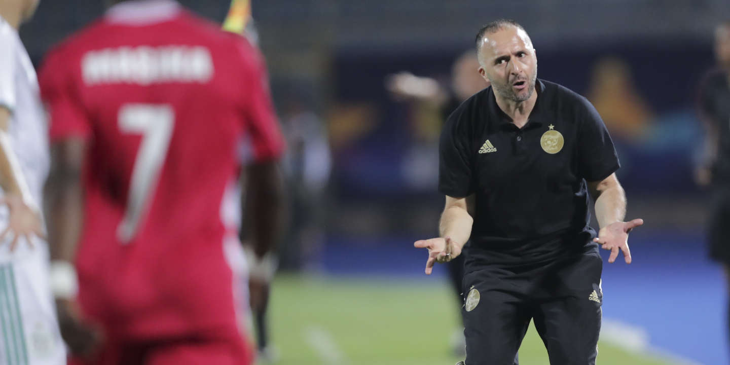 Algeria's head coach Djamel Belmadi shouts instructions during the African Cup of Nations group C soccer match between Algeria and Kenya at 30 June Stadium in Cairo, Egypt, Sunday, June 23, 2019. (AP Photo/Hassan Ammar)