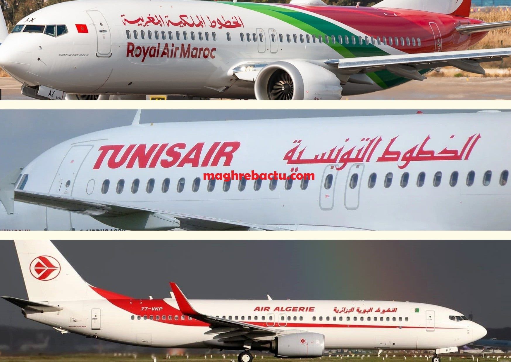 La célèbre avocate Pitcher compte fait plier Air Algérie et Air Maroc. Voici les raisons.