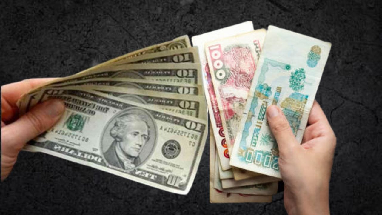 dollars américains