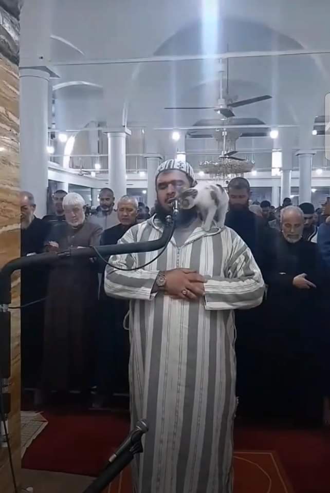 imam