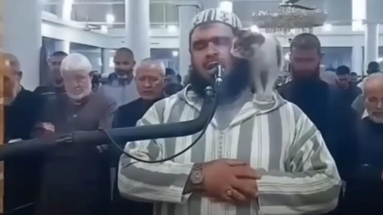 Vidéo du chat : Voici les premiers mots de l’imam algérien suite au buzz mondial